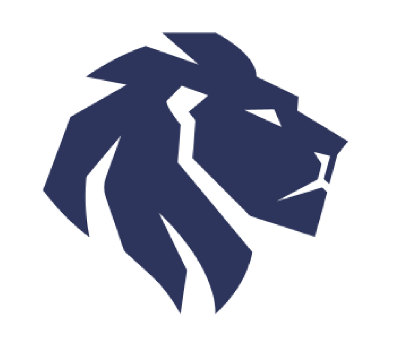 LEO RESEARCH logo